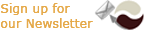 Subscribe Newsletter
